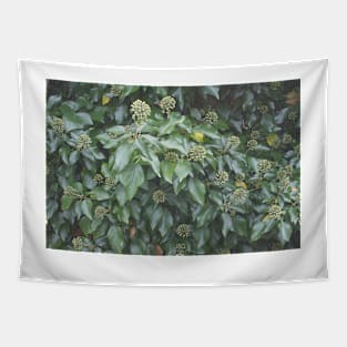 Ivy Seeds Tapestry