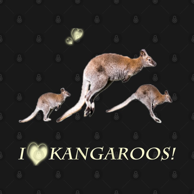 Australia Gift idea photo i love kangaroos by Naturelovers