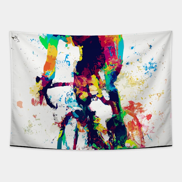 Racing Bike Cyclist Rainbow Tapestry by maxcode