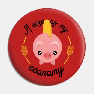 A size of my economy Pin