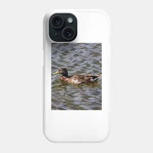 Female Mallard Duck Phone Case