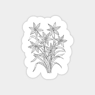 line doodle flowers Magnet