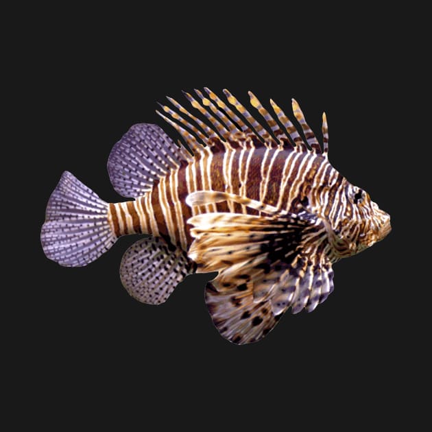 Lion fish by AD-official