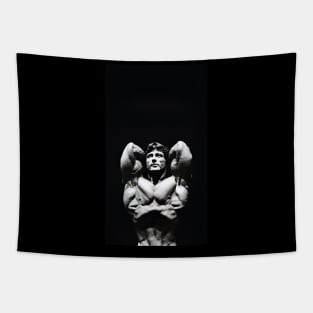 Frank Zane Motivational Poster Tapestry