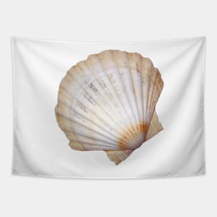 Fan seashell Tapestry