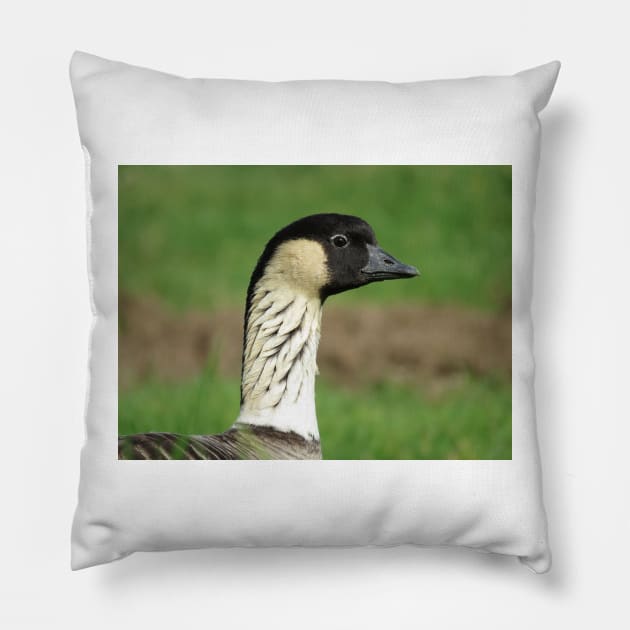 Nene - state bird of Hawaii Pillow by SDym Photography