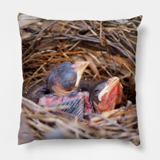 Two Baby Northern Cardinals In Their Nest. Pillow