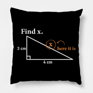 Find X Found It Funny Math Humor Geometry Graphic Pillow