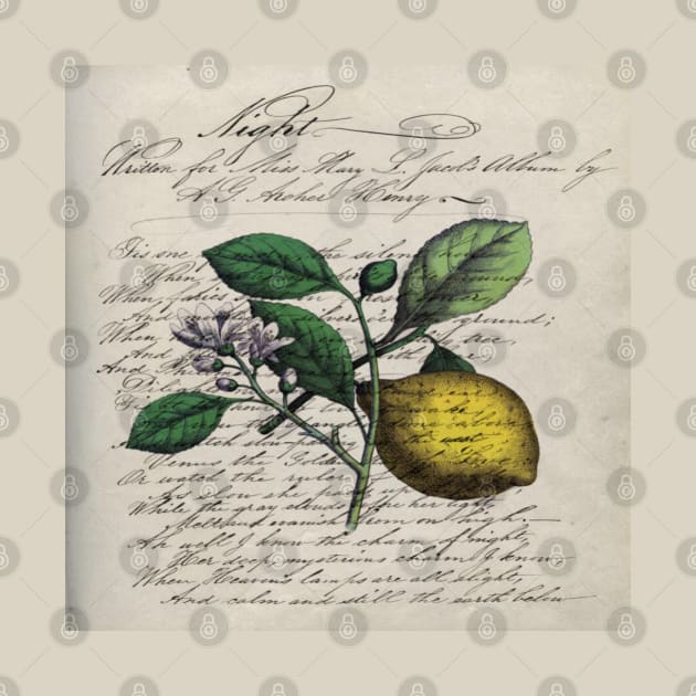 dark academia vintage Mediterranean fruit orchard citrus blossom yellow lemon by Tina