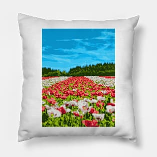 Queen's Garden - Landscape Pillow