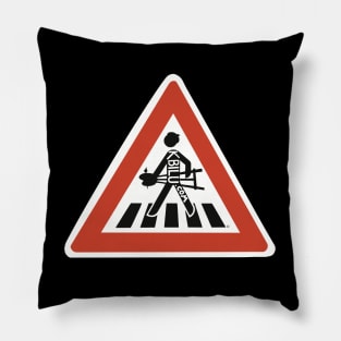 Artist crossing Euro Pillow