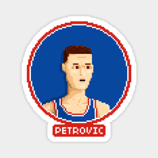 Petrovic Magnet