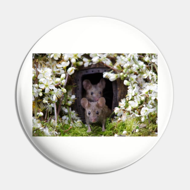 George the mouse in a log pile house - SPRING Pin by Simon-dell