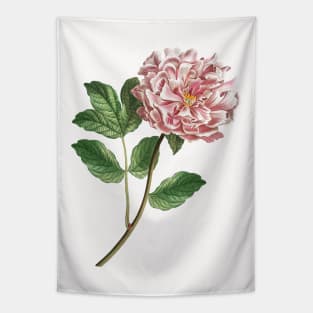 Pink peony Tapestry