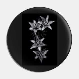 Backyard Flowers In Black And White 7 Pin