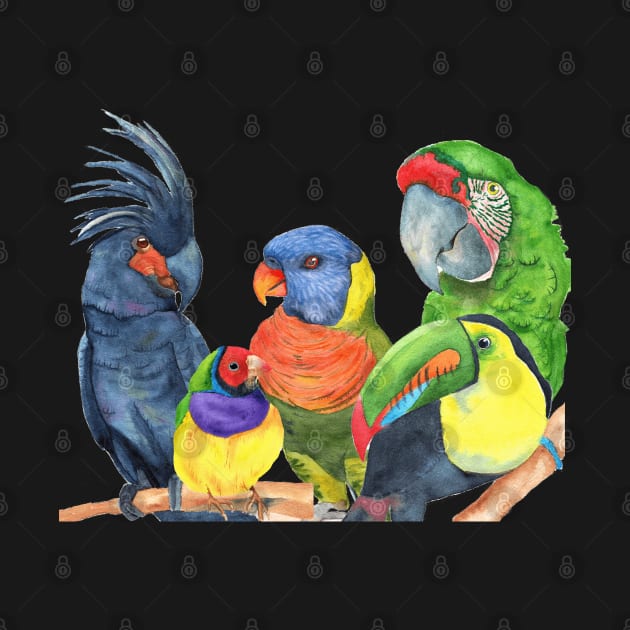 parrots bird watercolor toucan finch lory, cockatoo, macaw by Oranjade0122