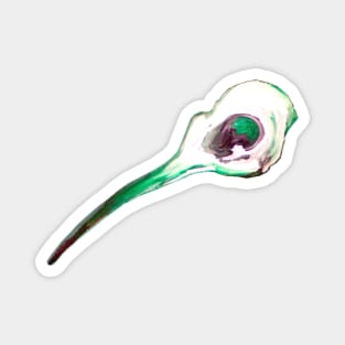 Hummingbird Skull Magnet