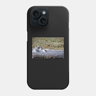 Bird on Driftwood Phone Case