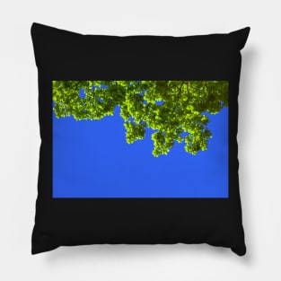 Green oak leafs and branches against blue background Pillow