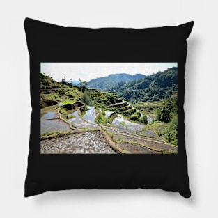 Rizières en terrasses Banaue, Philippines Pillow