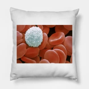 Colour SEM of red & white blood cells (P242/0218) Pillow