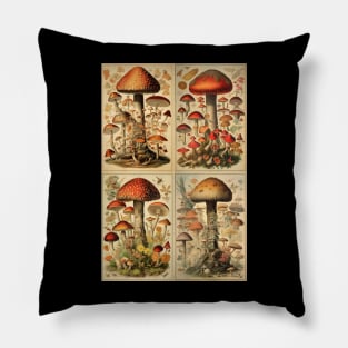 Fungi Pillow