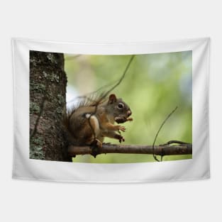 Red Squirrel Tapestry