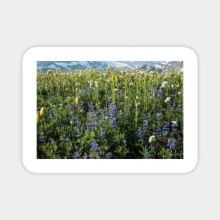 Close Up Of Wildflowers Mount Rainier National Park Magnet