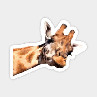 Giraffe Portrait Magnet