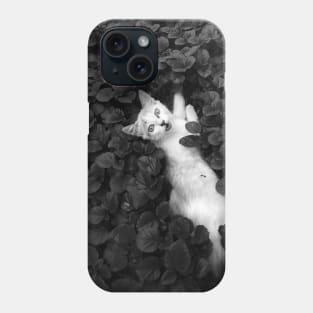 Cat Loves Catnip Phone Case