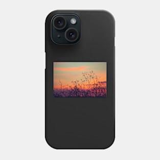 Dusk Falls Phone Case