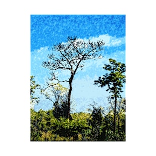 Trees At The Julington-Durbin Preserve Florida 2715 T-Shirt