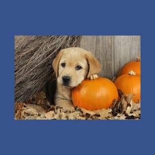 Labrador Retriever Puppy Dog With a Pumpkin T-Shirt