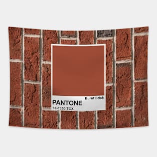 Burnt brick color Tapestry