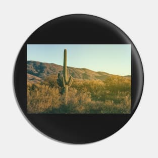 Sonoran Desert Pin