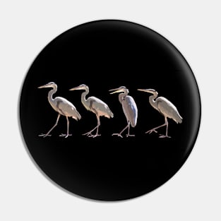 Blue Herons Walking on Black Horizontal Pin