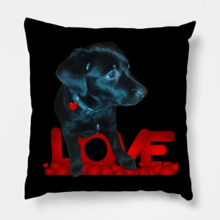 My Black Dog Pillow