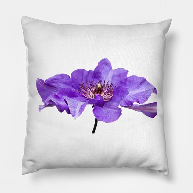 Clematis Pillow by Shirasaya