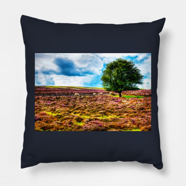 The Yorkshire Moors Sheep On The Purple Heather Pillow by tommysphotos