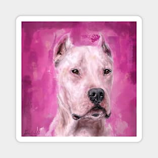 Painting of A Dogo Argentino on Pink Magenta Backround Magnet