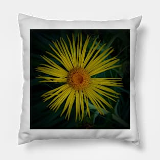 Yellow and Orange Elecampane Pillow