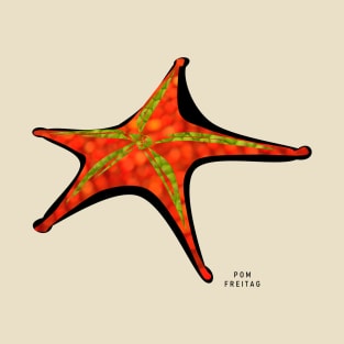 Starfish : T-Shirt