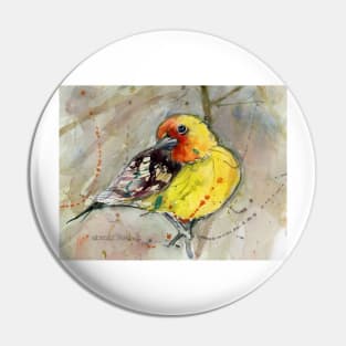 Western Tangers Bird Watercolors Pin