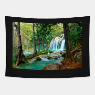 Chute d'eau El Chiflon,Mexique Tapestry