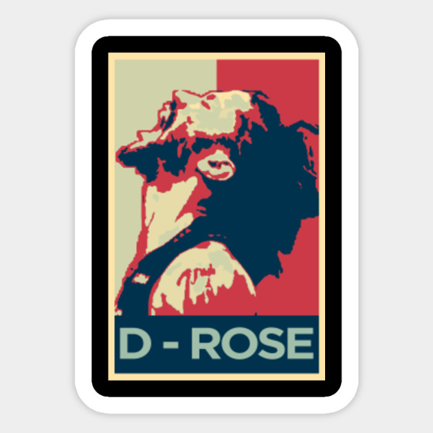 d rose derrick rose