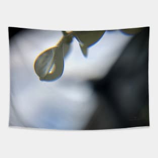 Water Droplet on Hydrangea Silhouette Tapestry