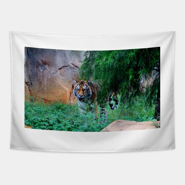 Siberian Tiger Tapestry by Cynthia48