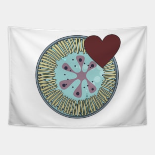 Diatom - Lindavia (burgundy) Tapestry