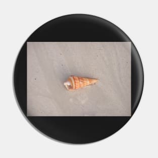 Seashell Pin