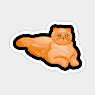 Orange Cat Magnet